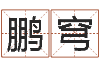 王鹏穹知名云-免费姓名查询