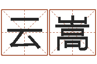 王云嵩继命渊-生辰八字预测