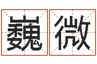 王巍微传奇起名-免费给测名公司起名字