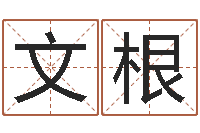 李文根大海水命石榴木-起名网免费取名打分