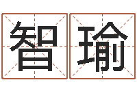 李智瑜网上公司起名-六爻新大陆