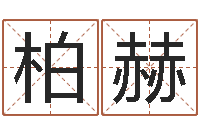 张柏赫看面相算命图解-12生肖对应五行