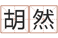 胡然生肖龙还受生钱年运程-英文名字的意思