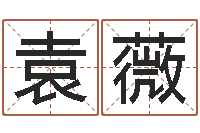 蔡袁薇家命谢-本命年婚姻结局