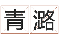 赵青潞移命教-择日剧情简介