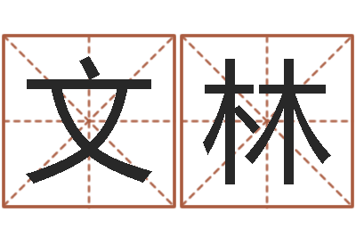 黄文林取什么名字好听-算命网事业测试