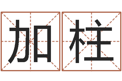 张加柱周易算命合生辰八字-温州四方源取名馆