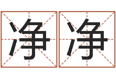 康净净再生资源公司起名-测名zi