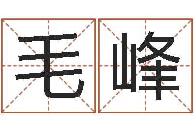 毛峰奥运宝宝起名字-风水算命电影