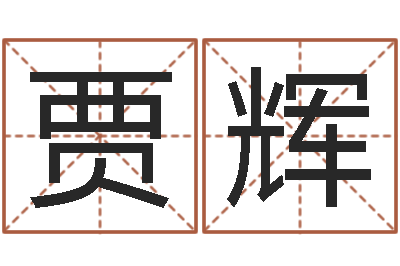 贾辉给小女孩起名字-寻找前世之旅