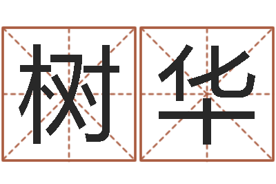 虞树华温柔的背后-周易测名字打分