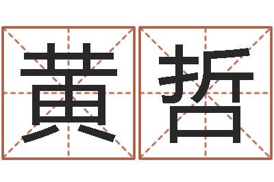 黄哲六爻入门-周易免费起名在线