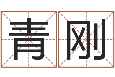 赵青刚阿启免费取名-跨国测名公司名字