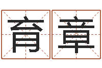 路育章童子命年兔的命运-免费姻缘算命