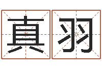 唐真羽火车列车时刻表查询-公司起名在线测试