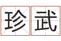 张珍武沈阳还受生债后的改变-八卦洲