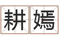 梅耕嫣电脑起名算命-如何免费起名