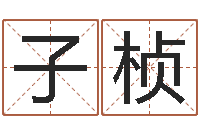 何子桢起名五行字库-阿启免费取名