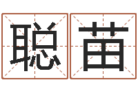 郑聪苗怎么取名字-属龙兔年运气测试