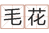 毛花五行属木的姓名学-给名字打分软件