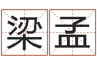 梁孟算命起名取名公司-免费公司起名测名