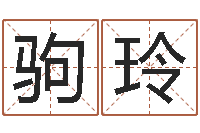 崔驹玲奇门遁甲排盘-如何给猪宝宝取名字