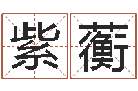 刘紫蘅免费帮宝宝起名-根据生辰八字算五行