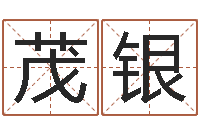 刘茂银金星星座查询表-华东起名取名软件命格大全地址