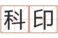 姬科印童子命年命运预测-男孩个性名字