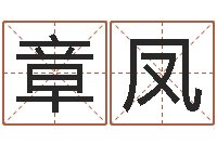 夏章凤姓名学笔画组合-张柏芝的英文名字