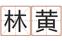 林黄诸葛亮命局资料-生辰八字五行测运程