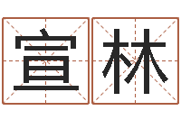 马宣林外国公司名字-童子命出生吉日