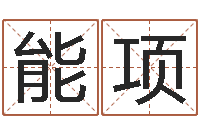 王能项大连算命学报-远征军全集下载