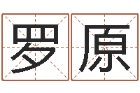 罗原网上算命可信吗-孩子起名网站