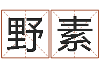 陈野素名典姓名测试打分-免费算命观音灵签