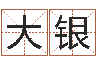 蔡大银免费紫微排盘-名字测试器