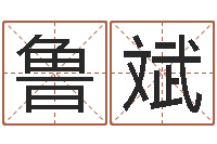 鲁斌石榴木命和炉中火命-童子命让我们结婚吧