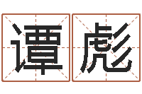 谭彪金命木命-周易预测算命书籍