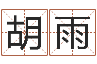 胡雨鼠宝宝取名字姓洪-免费合婚网