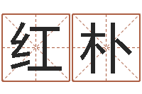 向红朴择日学-12星座还受生钱年运势