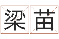 梁苗李计忠十二生肖视频-童子命年属鼠的命运