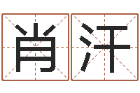 肖汗名字五行测试-陈长文