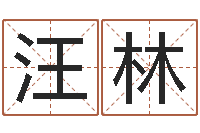 汪林四柱八字详批-济宁还受生债后的改变