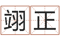 冯翊正手机号码算命-周易预测安阳