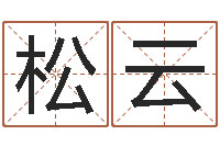江松云免费广告公司起名-风水算命网
