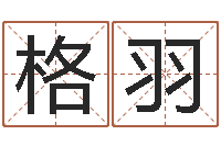 黄格羽折纸战士第2部-查五行缺什么