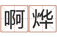 啊烨公司的起名-逆天调命改命txt