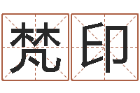 高梵印宠物狗的名字-免费姓名测试软件