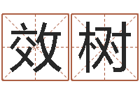 张效树免费测名在线打分-命运周易免费算命