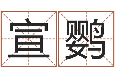 叶宣鹦金命是什么意思-百合图库总站